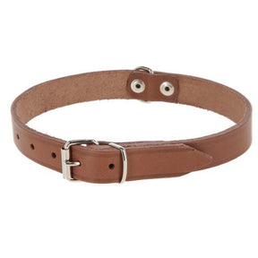 Products dog collar leather 12mm natural