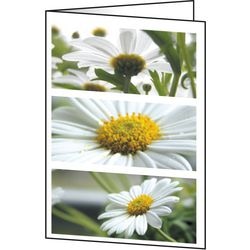Greeting cards Sigel DC171 Flowers Universal 220 gsm assorted 25 pieces