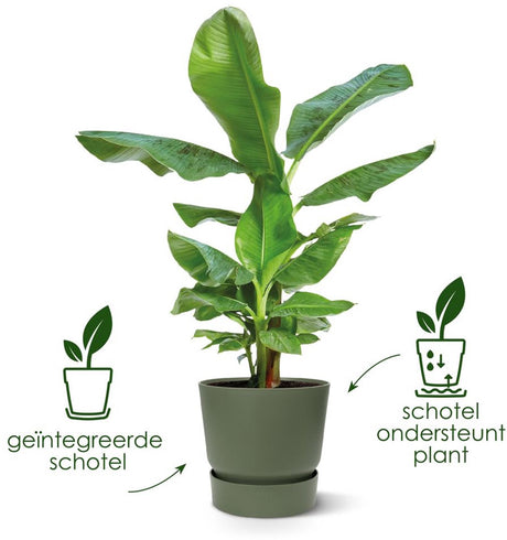 Elho greenville rund 25 - blomkruka utomhus med vattenbehållare - 100% återvunnen plast - ø 24,5 x h 23,3 cm - vintage plommon