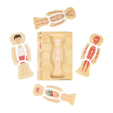 Bigjigs wooden anatomy puzzle - boy, 26 pcs.