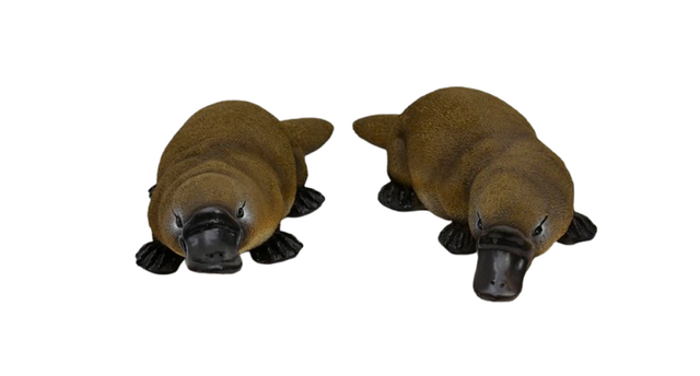 Vogelbekdier 2 assortie 26x13x8 cm
