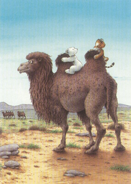 Picture postcard 207: polar bear, camel ride.