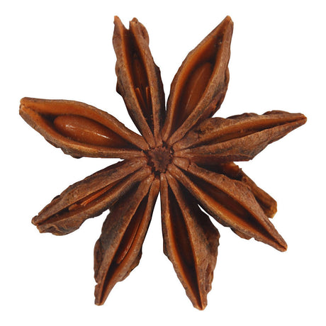 Creativ company https: www.cchobby.nl star-anise-10-piece-1-box