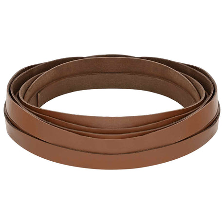 Vidaxl leren riem 1 bruin 500 x 1,5 cm leer