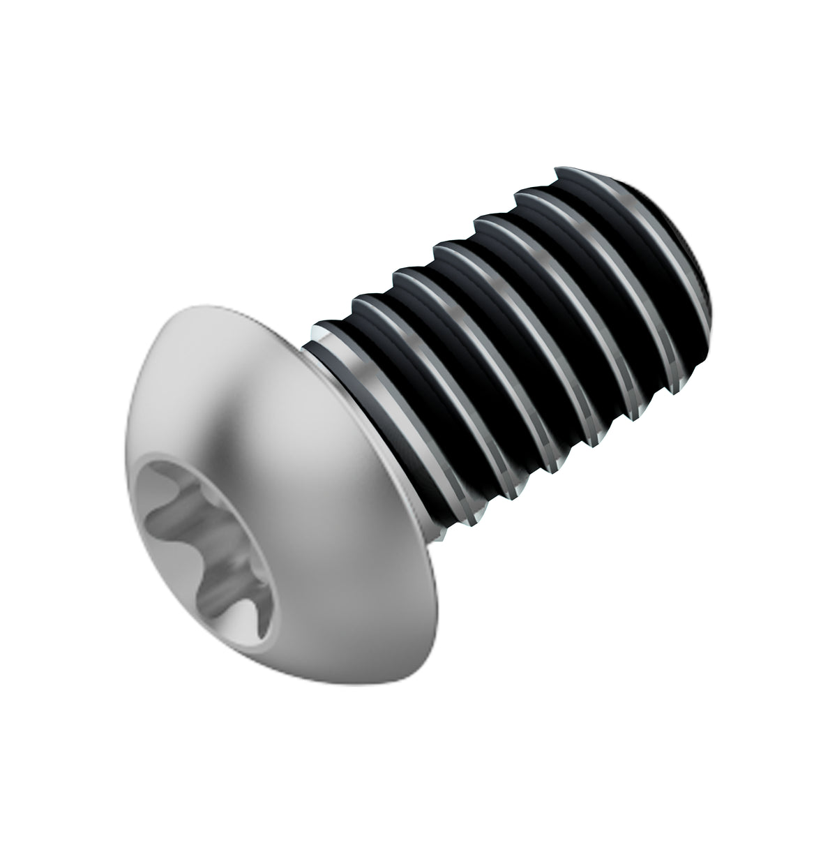 Fahrwerker brake disc bolt m5x10 lev tl (120 pieces)