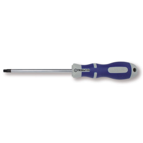 Bernese šroubovák Bezpečnost Torx Topline TX 27 x 115 mm