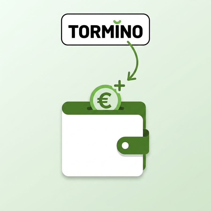 Tormino B2B wallet — top up balance for dropshipping orders