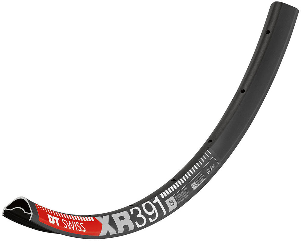 Jante de disco Dt swiss xr 391 29 | 32 lago